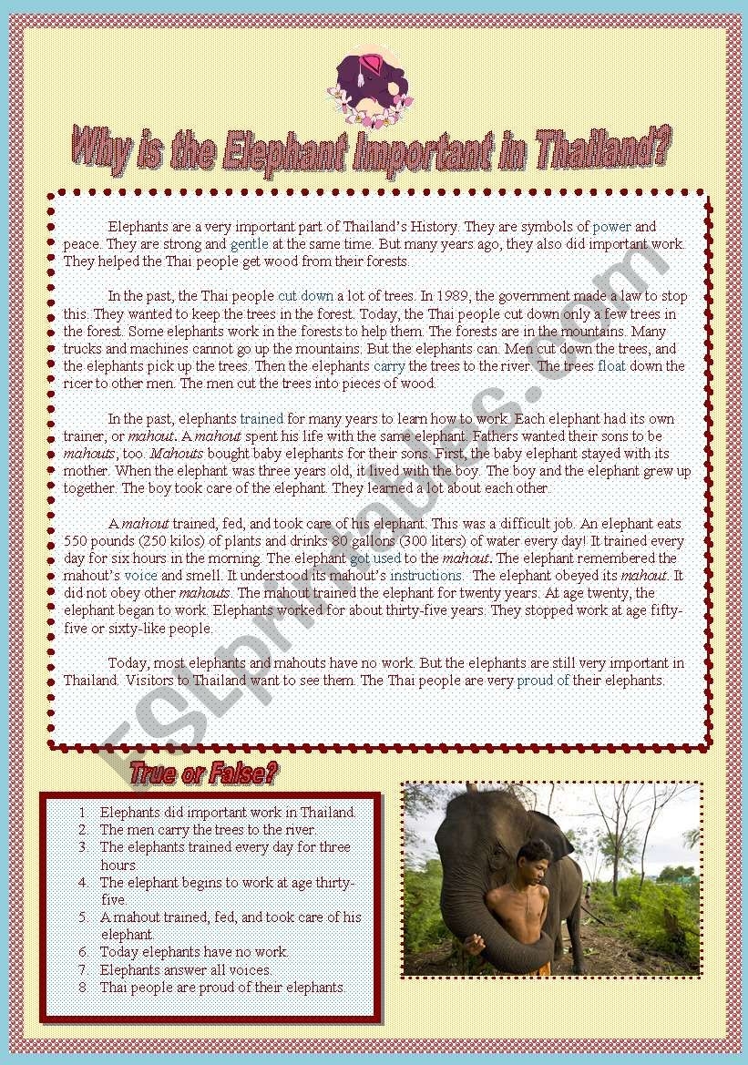 Elephants In Thailand ESL Worksheet By Kohaku
