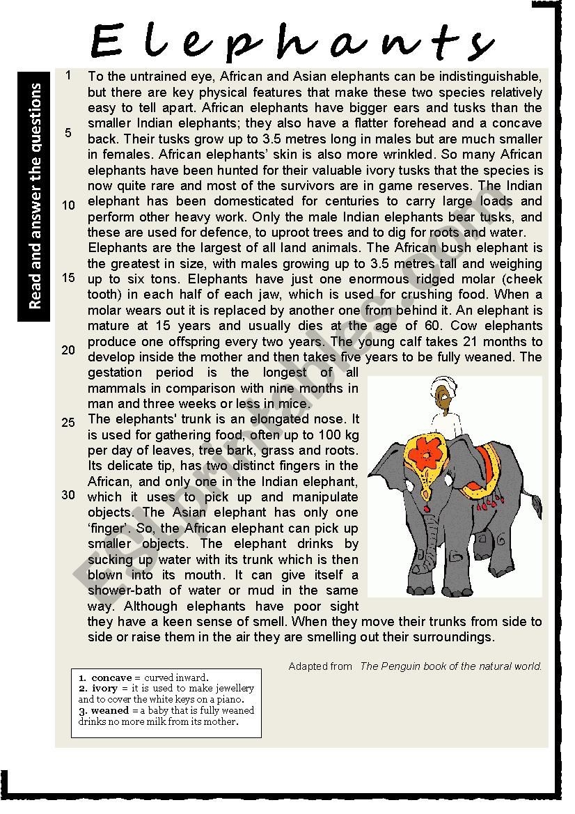 ELEPHANTS Reading Comprehension Varied Questions And Vocabulary Work KEY ESL Worksheet By Karagozian