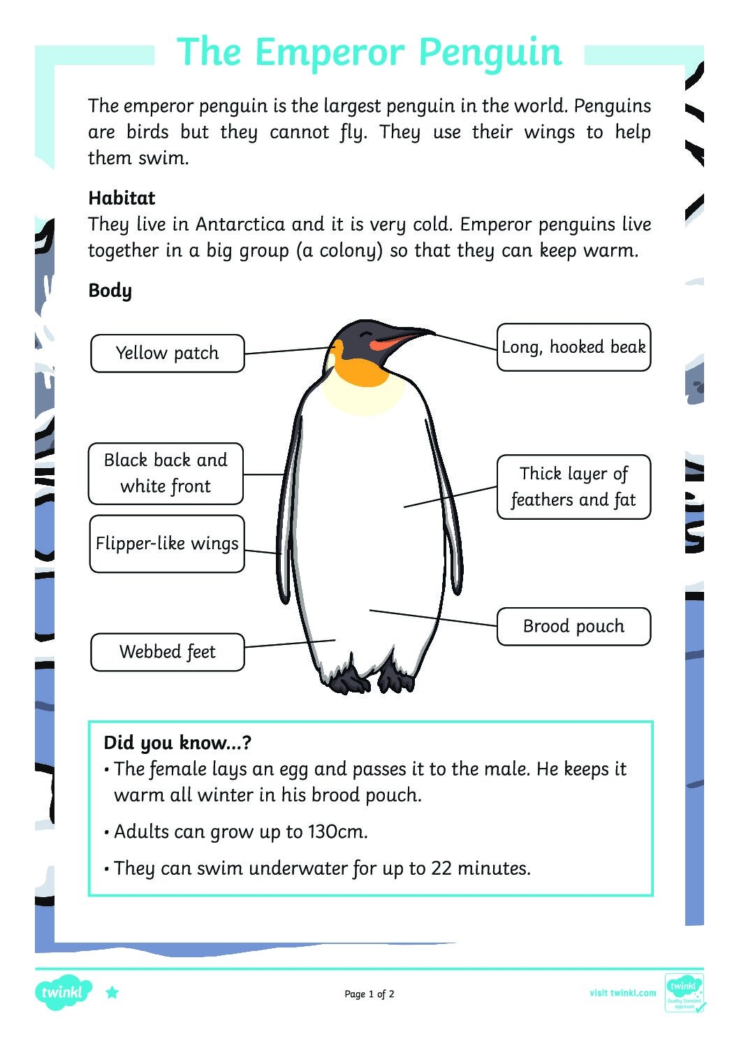 Penguins Reading Comprehension Worksheets