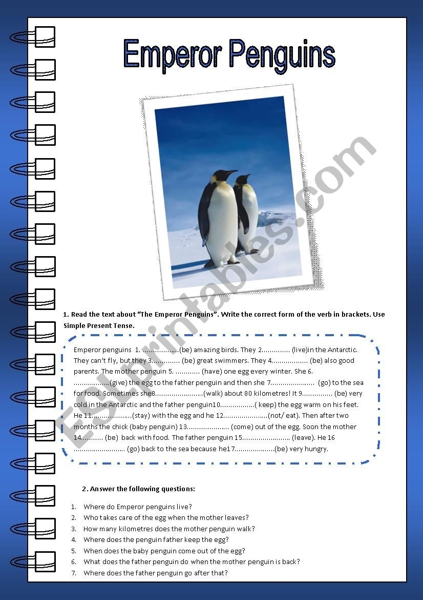 Free Penguin Reading Comprehension Worksheets