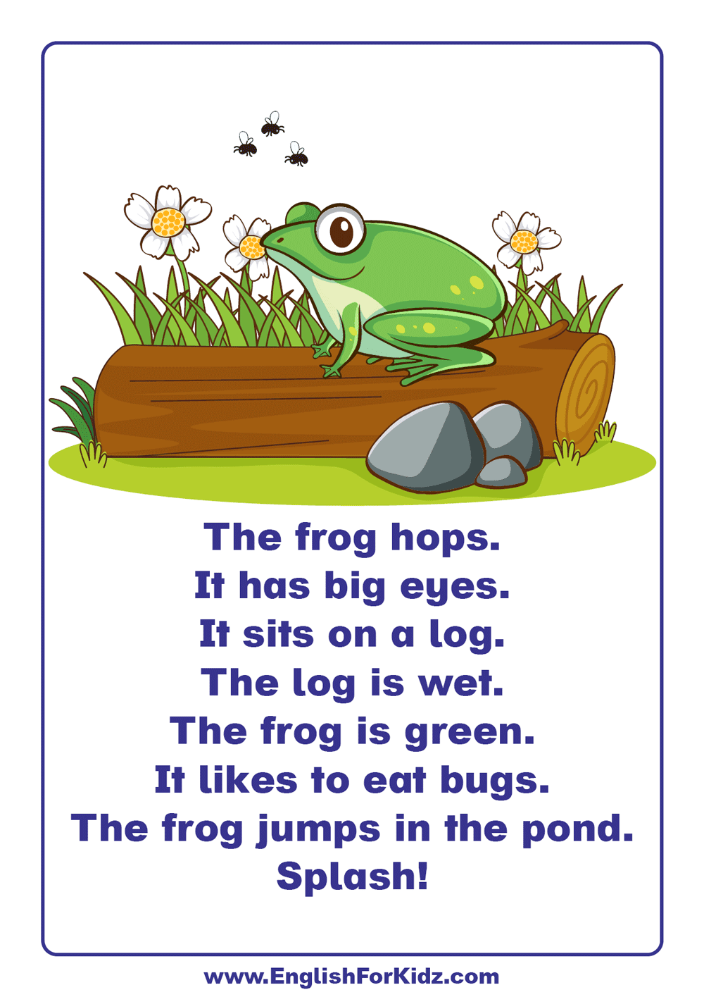 Reading Comprehension 3rd Grade Worksheets Amphibians