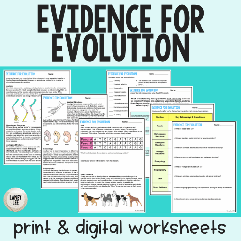 Evidence For Evolution Reading Comprehension Worksheets