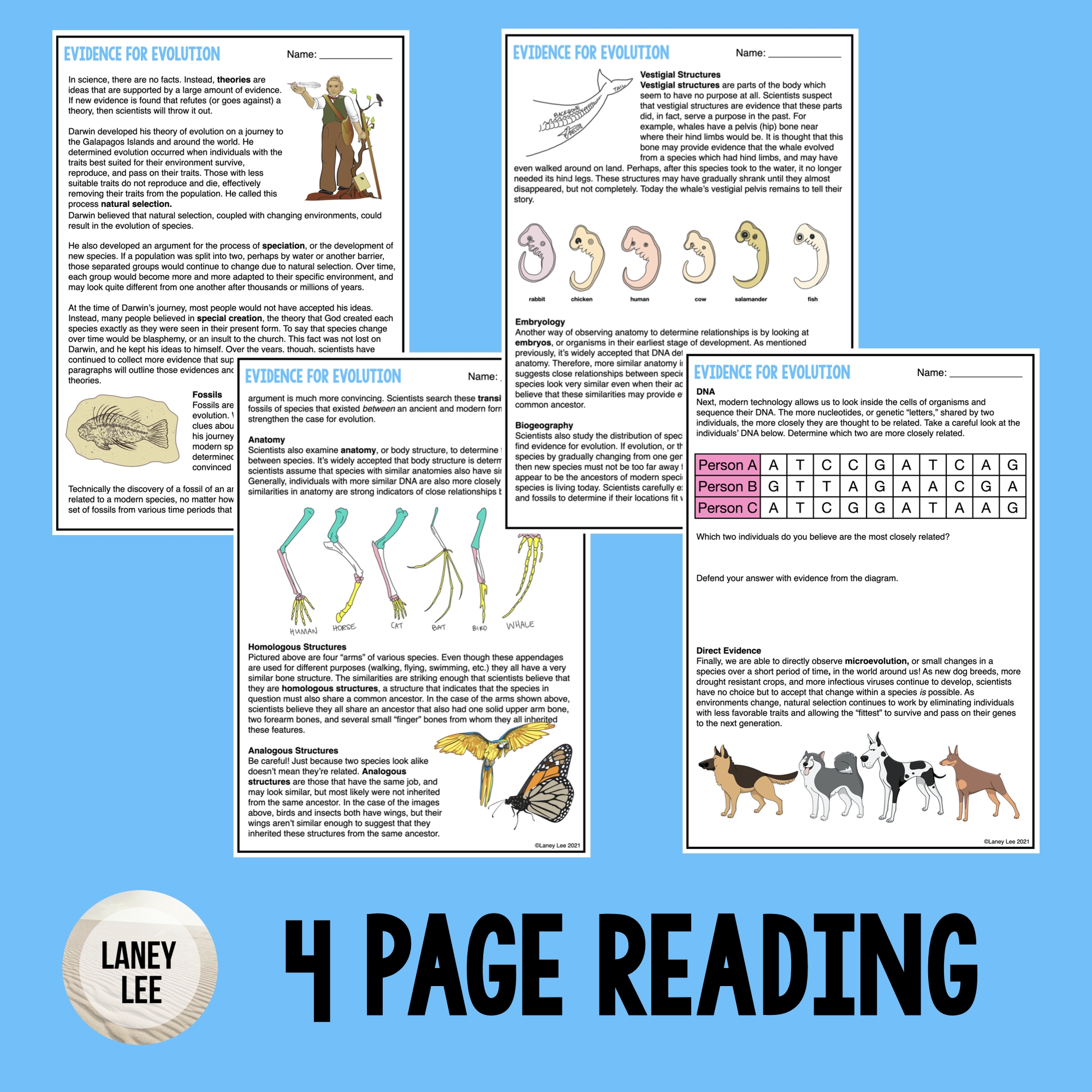 Evidence For Evolution Reading Comprehension Worksheets