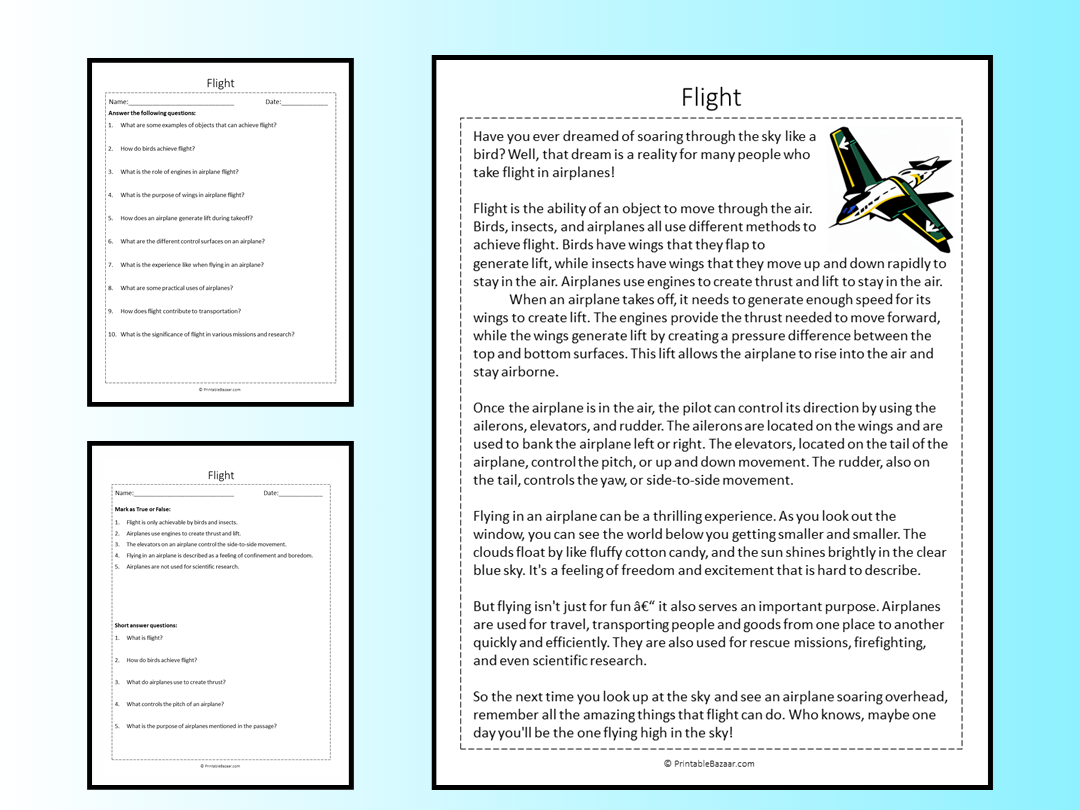 Flight Reading Comprehension Passage Printable Worksheet Teaching Resources