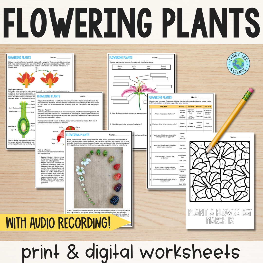 Reading Comprehension Worksheet Free Printable Seeds