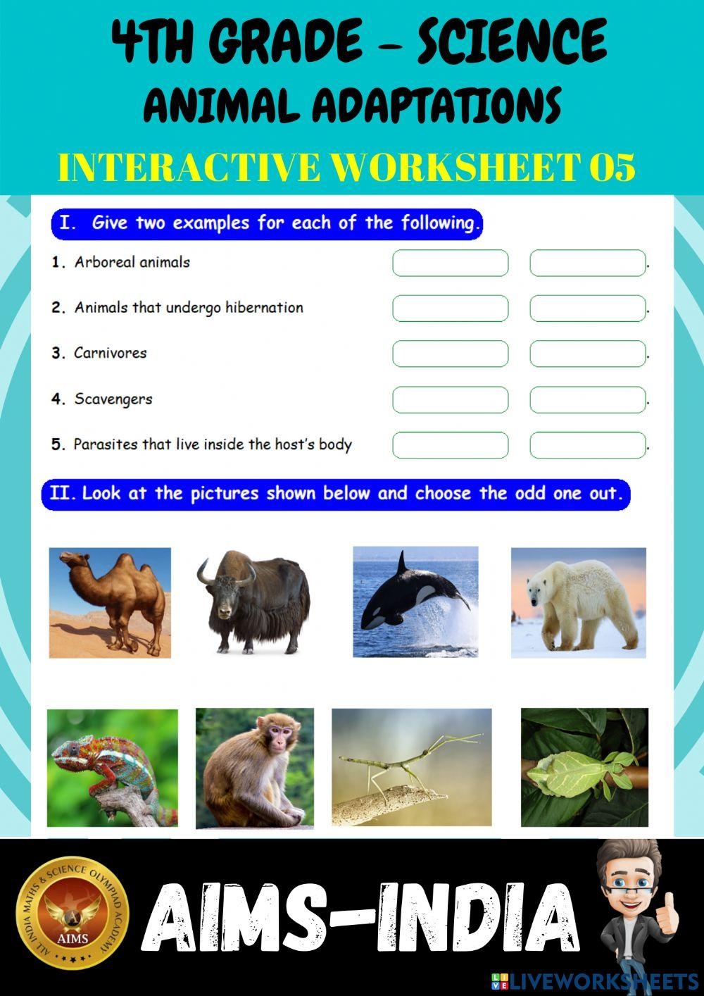 Science Animal Adaptations Worksheets Reading Comprehension