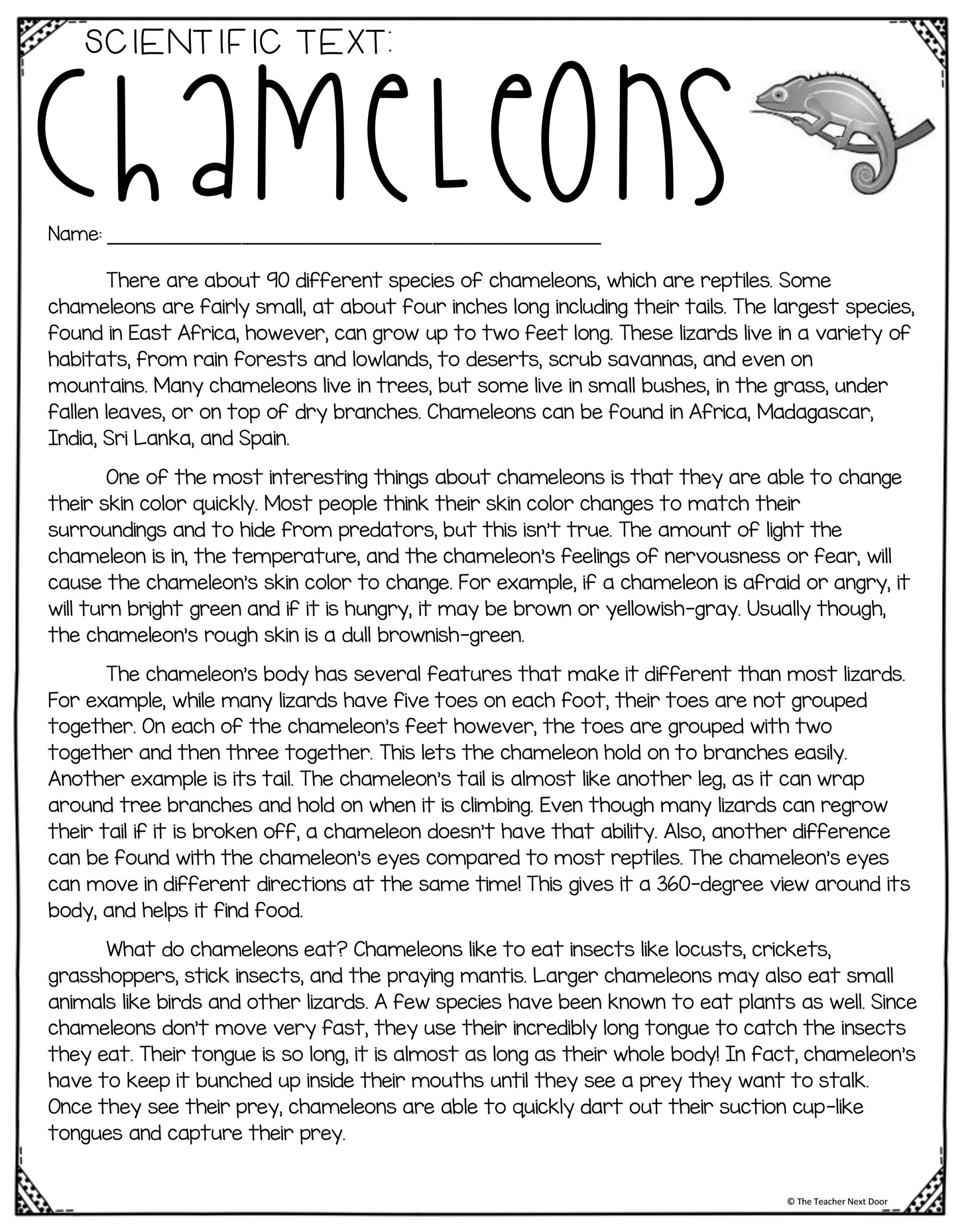 FREE Close Reading Using Informational Text For 3rd Grade The 