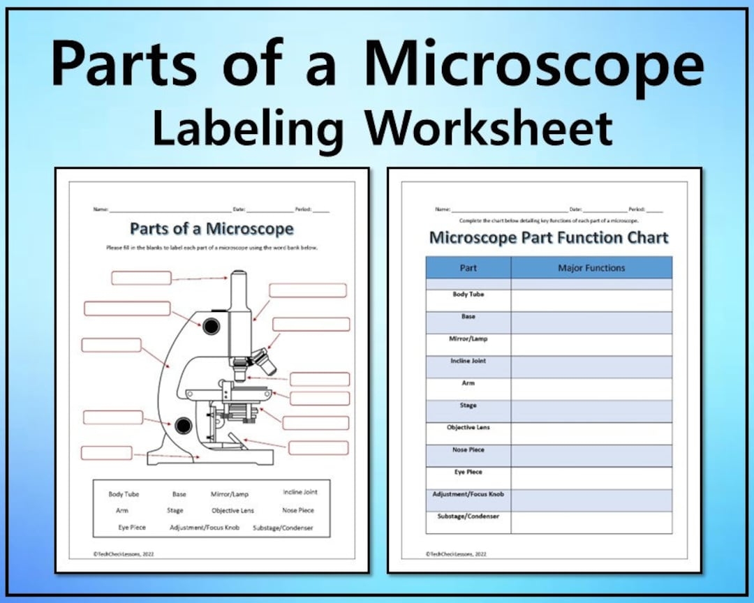 Free Microscope Worksheet For Middle School Download Free Microscope Worksheet For Middle School Png Images Free Worksheets On Clipart Library