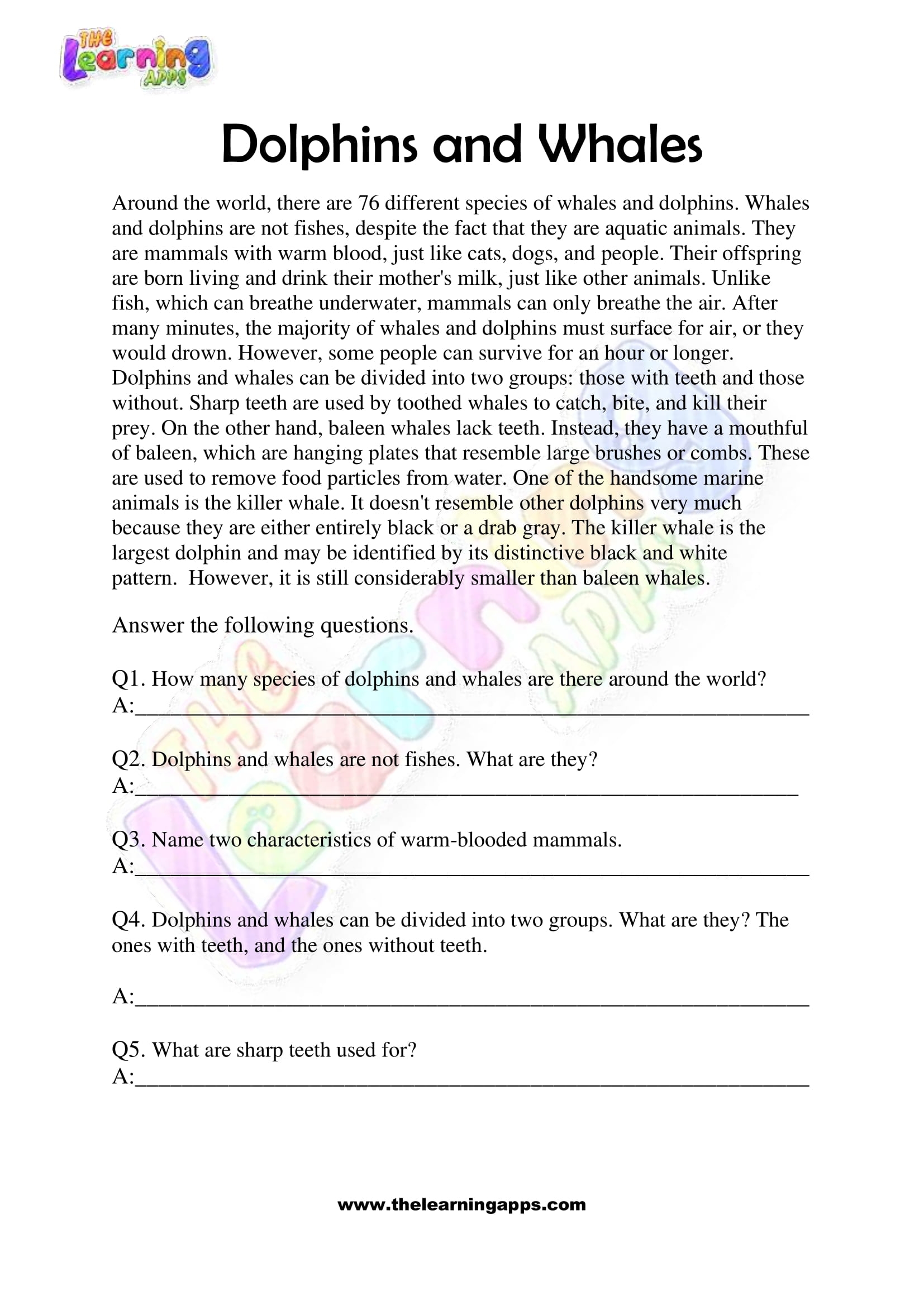 Free Non Fiction Reading Passages Worksheets For Grade 3
