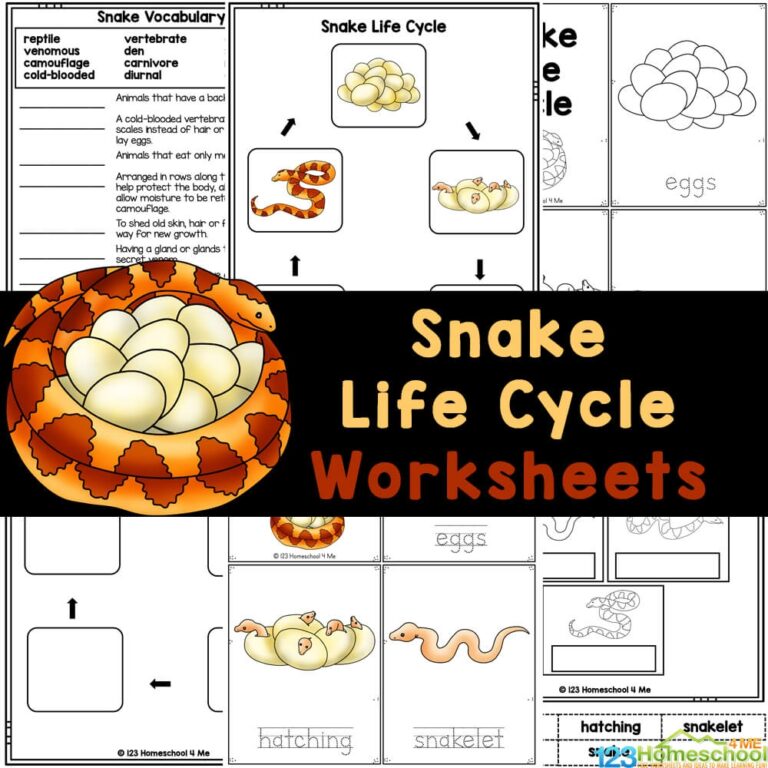 FREE Printable Snake Life Cycle Worksheets For Elementary Students