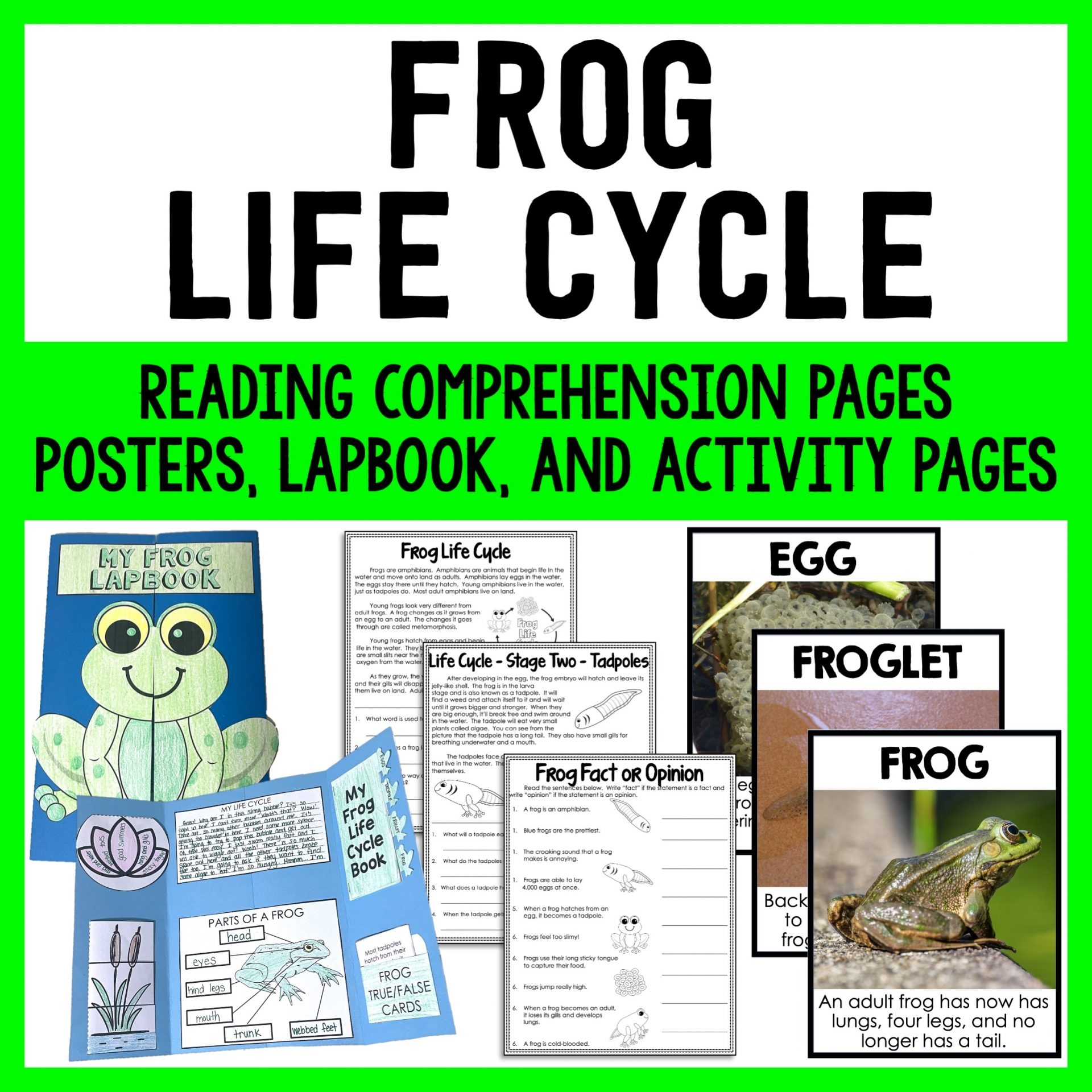Frog Life Cycle Science Unit Reading Passages And Activities 