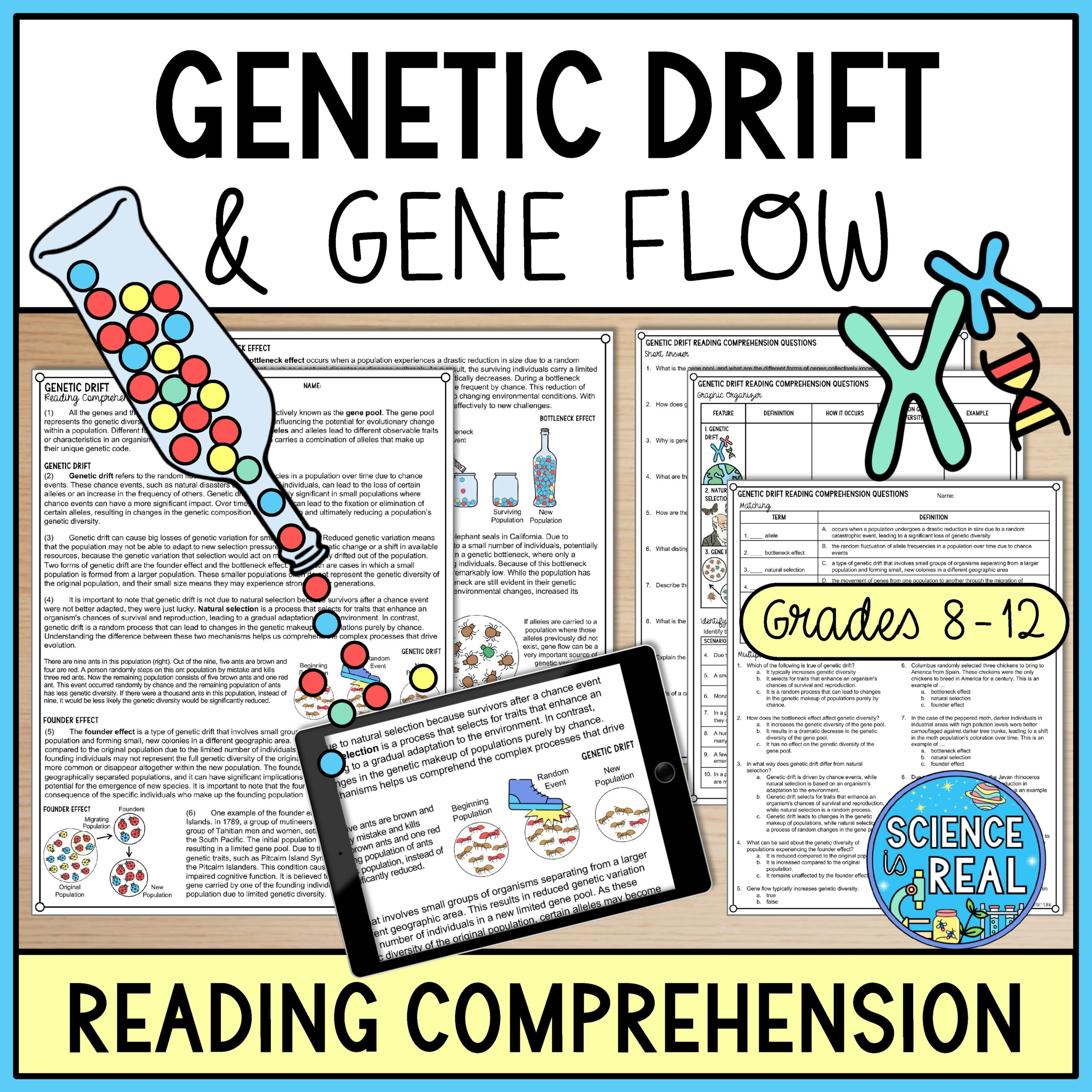 Genetic Drift Reading Comprehension And Worksheets Classful
