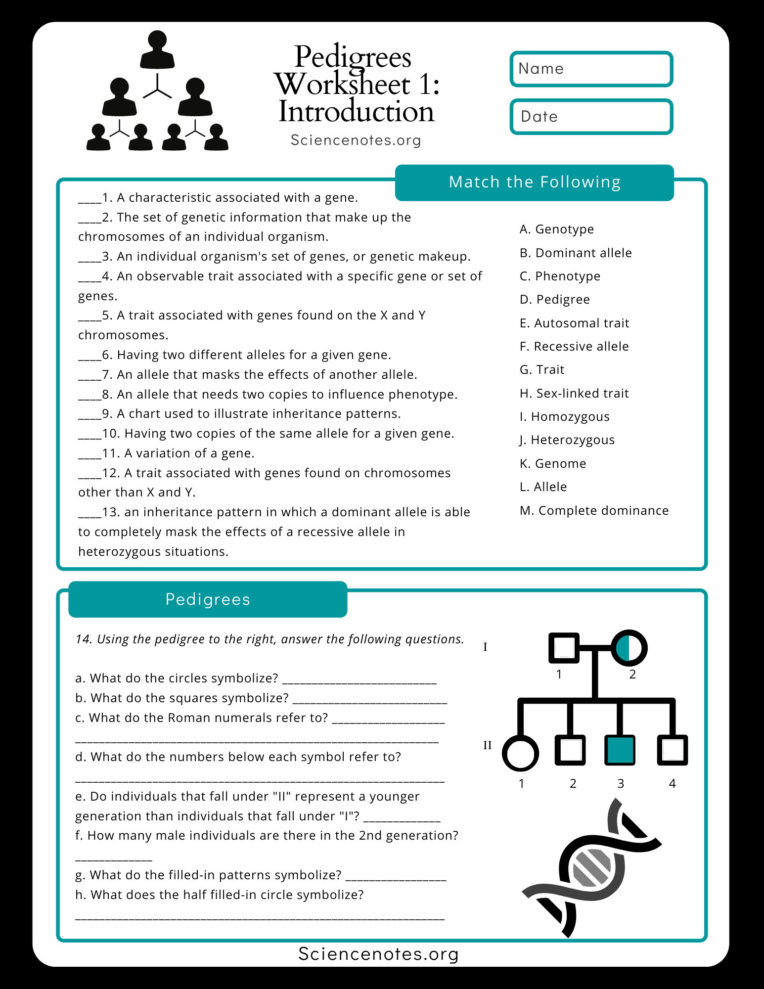Intro To Genetics Reading Comprehension Worksheet