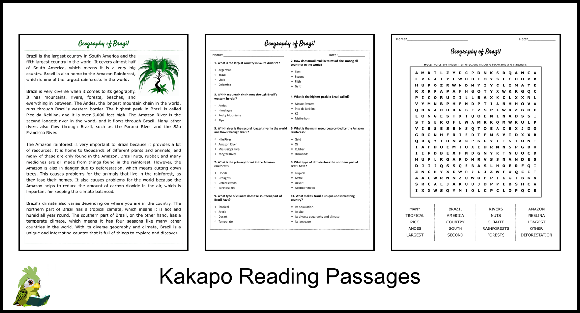 Geography Of Brazil Reading Comprehension And Word Search 