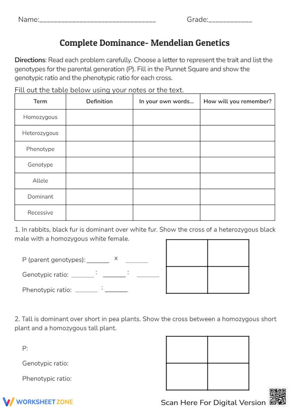 Grade 8 Punnett Square Practice Worksheets 2025