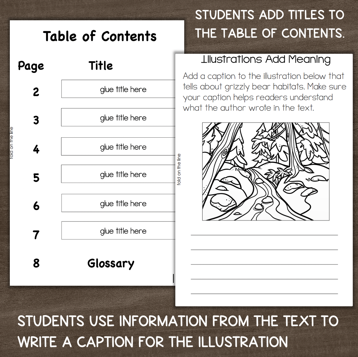 Reading Comprehension Worksheets Grizzly Bears
