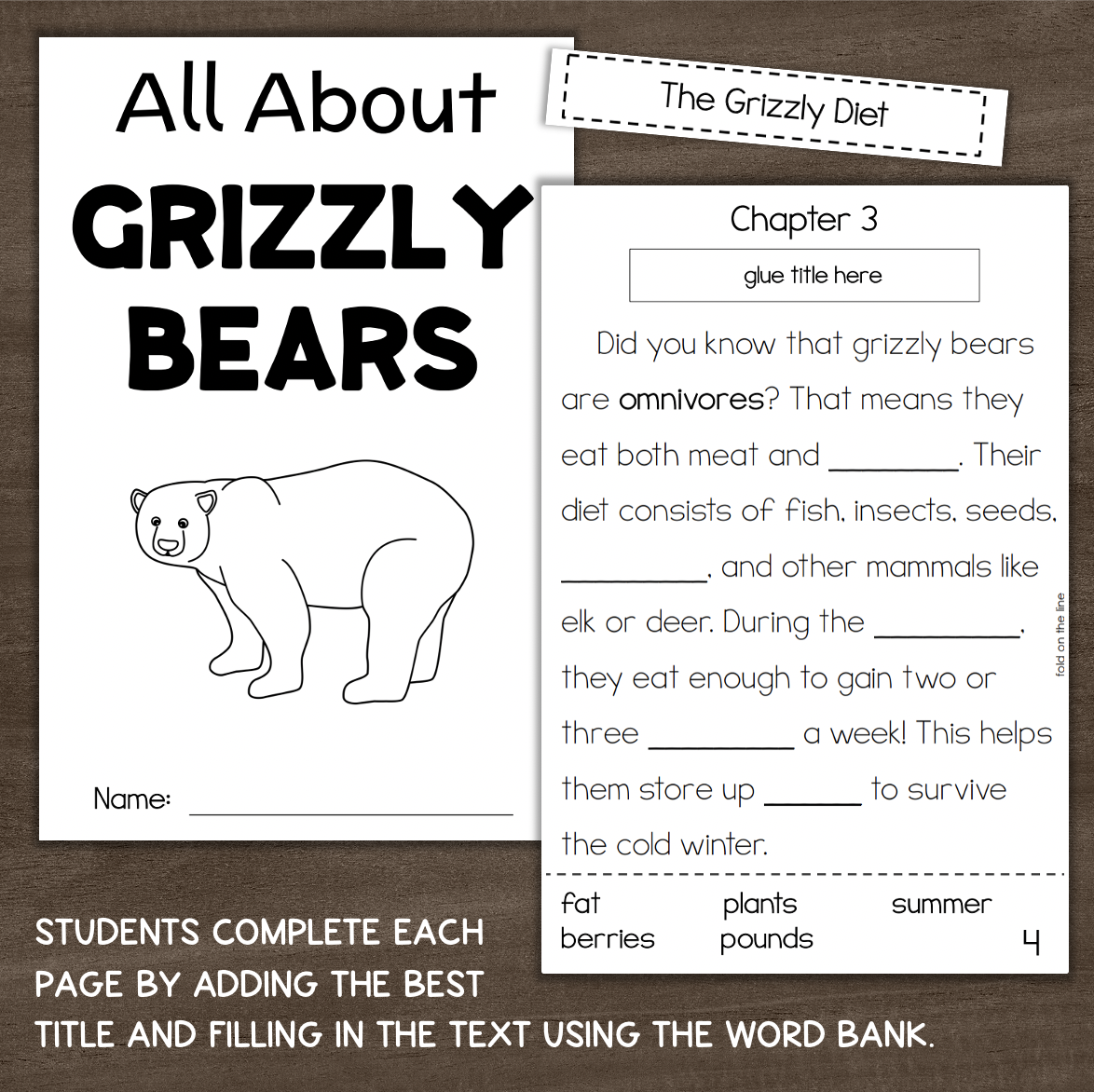 Grizzly Bears Interactive Reading Comprehension