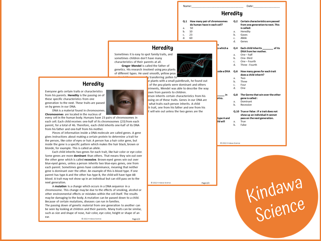 Heredity Reading Comprehension Passage And Questions PDF 