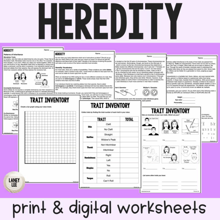 Heredity Reading Comprehension Worksheets Laney Lee