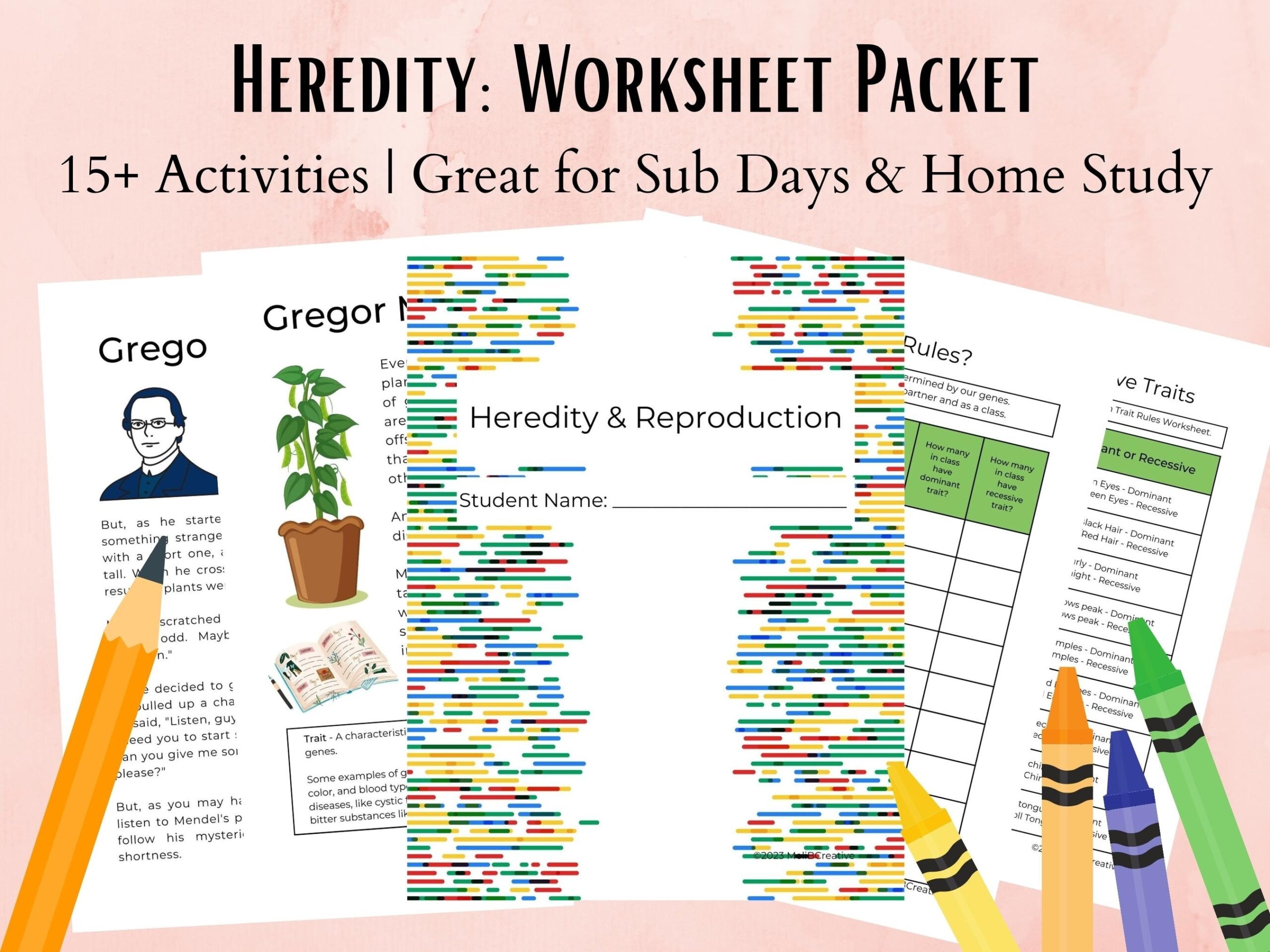 Heredity U0026 Genetics Life Science Worksheet Packet For Middle 