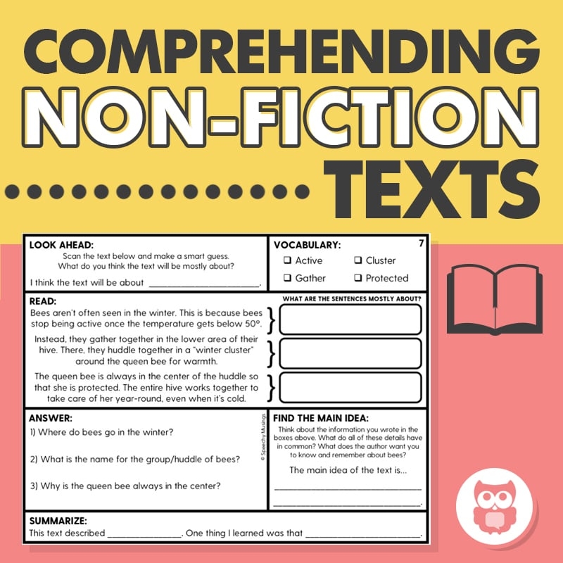 Reading Comprehension Strategies Main Idea Worksheets