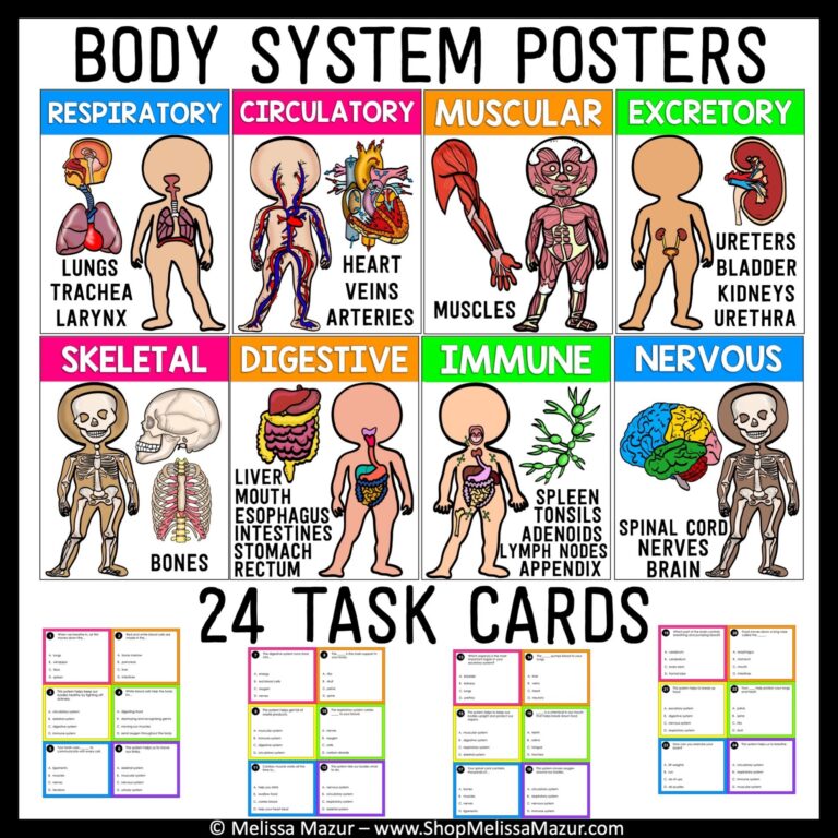 Human Body And Body Systems Science Unit Reading Passages And 