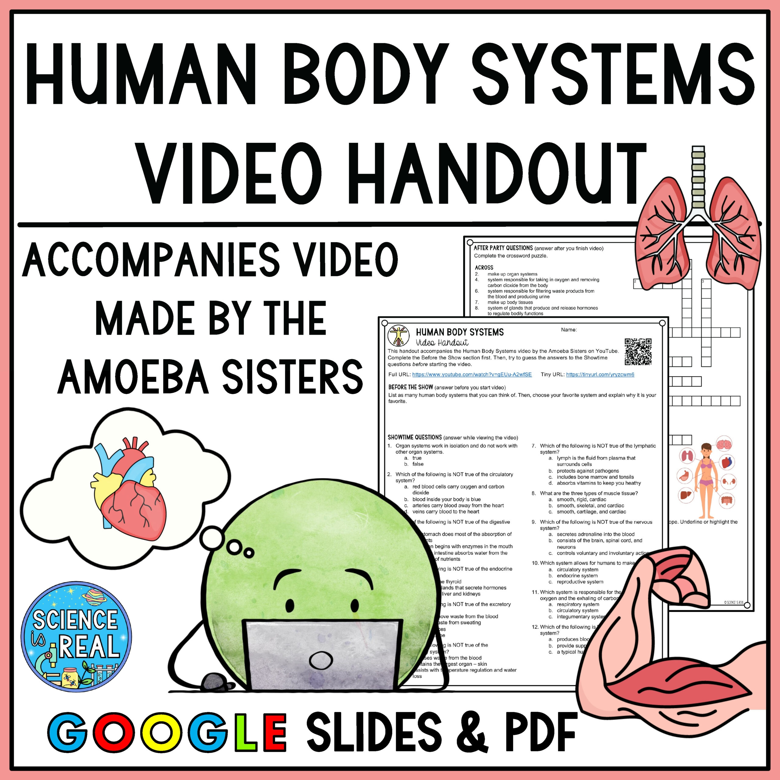 Human Body Systems Amoeba Sisters Handout Classful