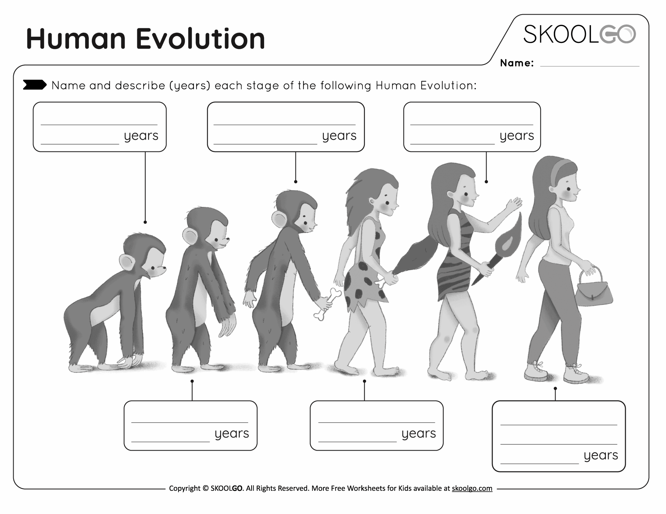 Human Evolution Free Worksheet SKOOLGO Worksheets Library