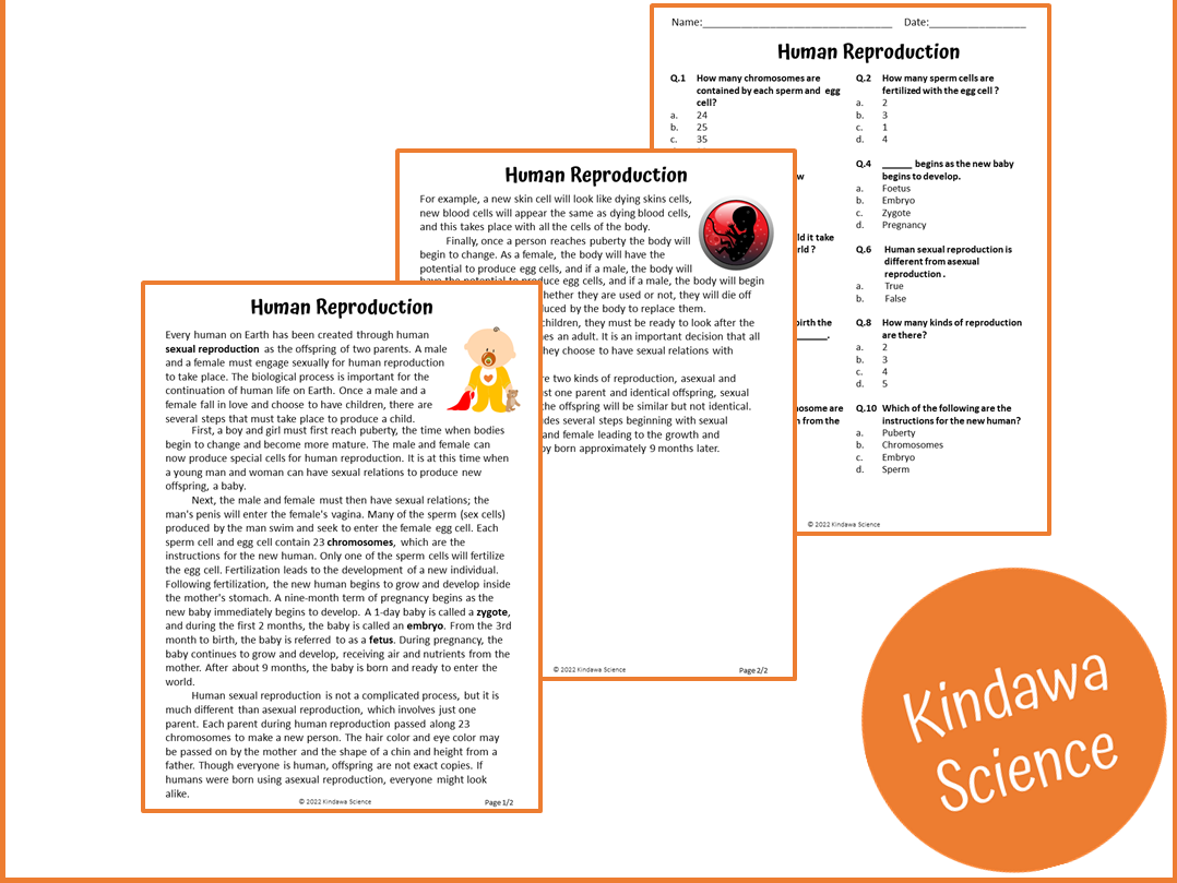 Human Reproduction Reading Comprehension Passage And Questions 