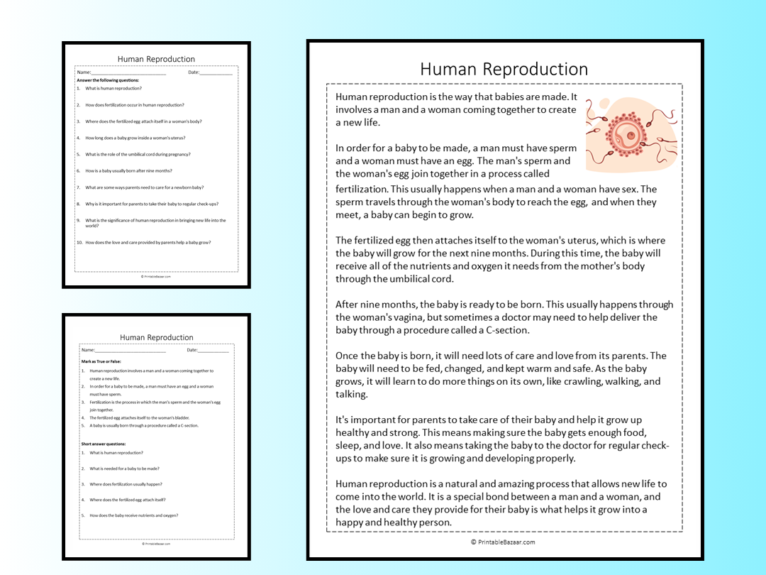 Human Reproduction Reading Comprehension Passage Printable 