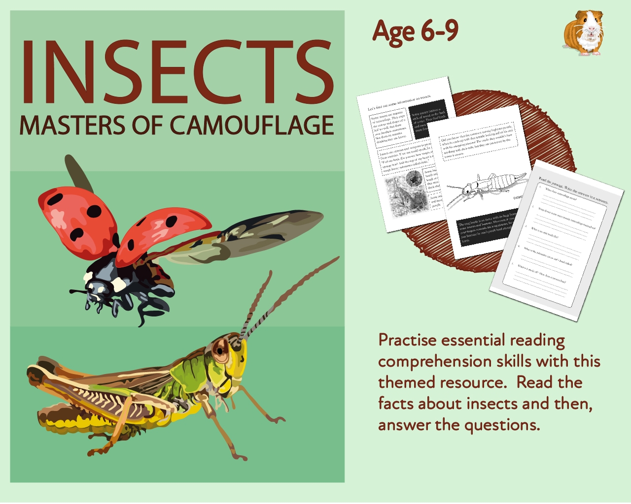 Free Insect Reading Comprehension Worksheets