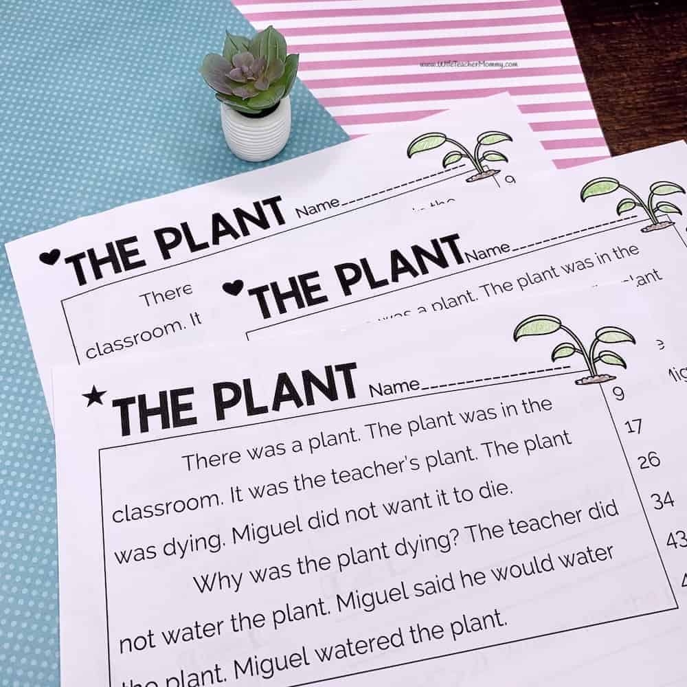 Kindergarten Reading Comprehension Worksheets Plus Fluency 