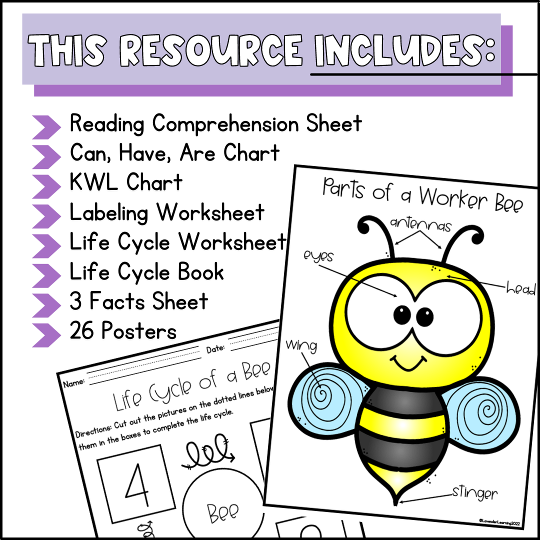 Reading Comprehension Worksheet About Bees