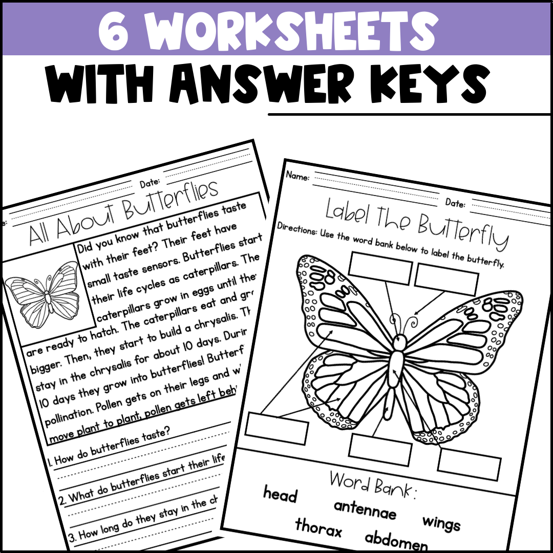 Life Cycle Of A Butterfly Activities Worksheets Booklet Butterfly Life Cycle Made By Teachers