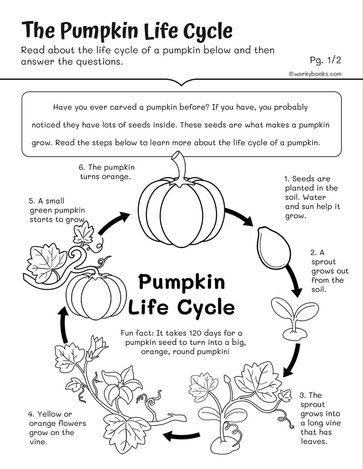 K12 Reading Comprehension Worksheets 3rd Grade