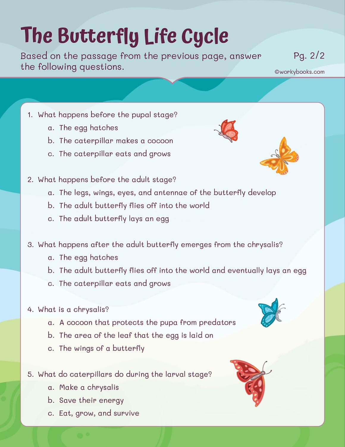 Butterfly Life Cycle Reading Comprehension Worksheets