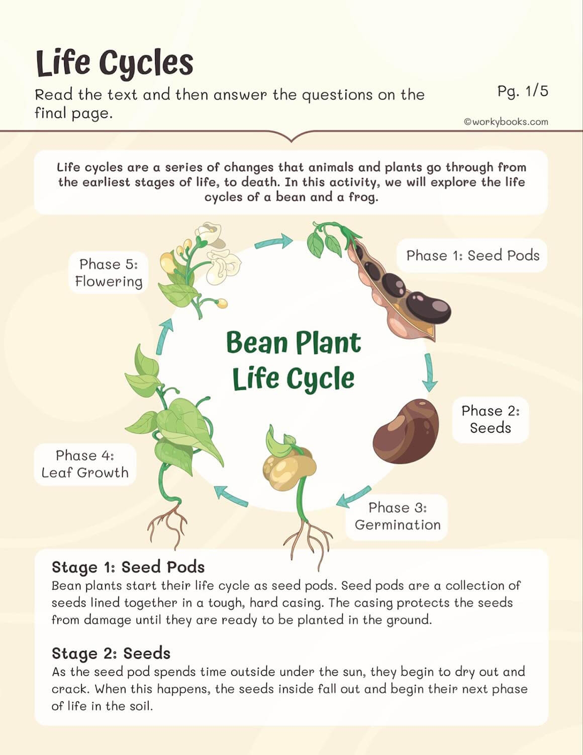 Plants Reading Comprehension Worksheet Packet