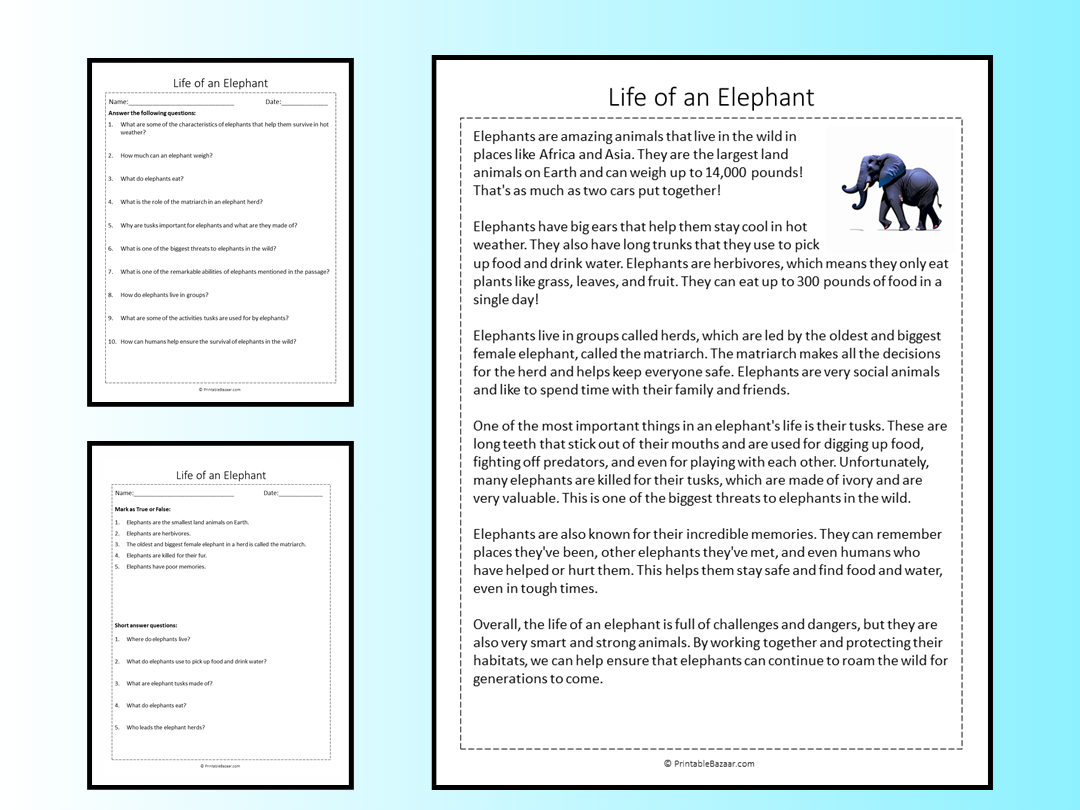 Life Of An Elephant Reading Comprehension Passage Printable Worksheet Teaching Resources