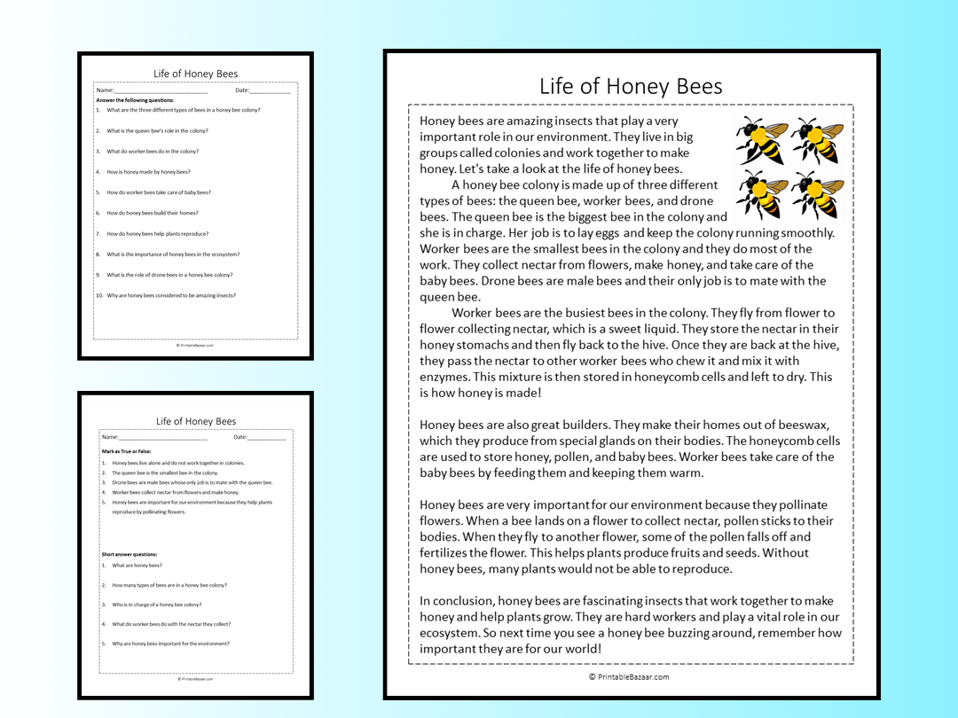 Life Of Honey Bees Reading Comprehension Passage Printable Worksheet Teaching Resources