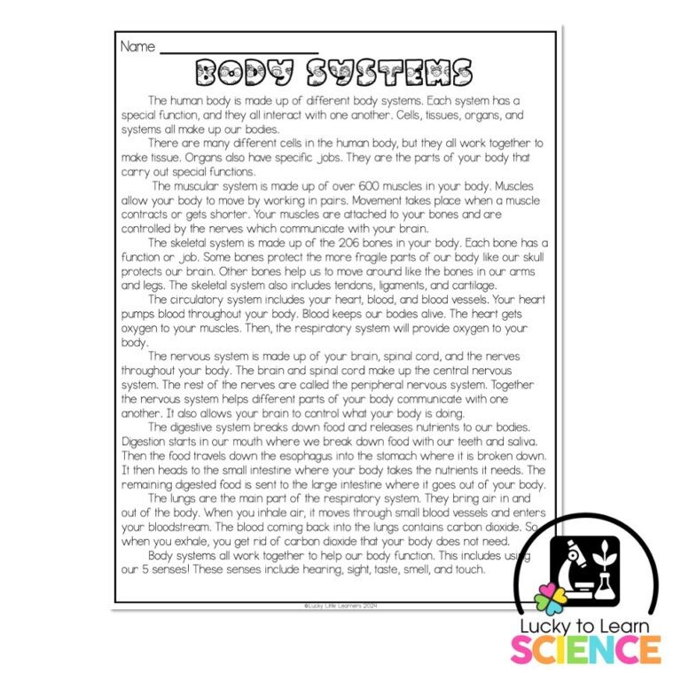 Lucky To Learn Science Body Systems Reading Passage Article 