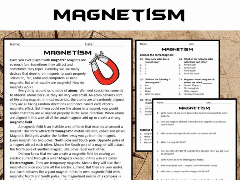 Magnets Reading Comprehension Discount
