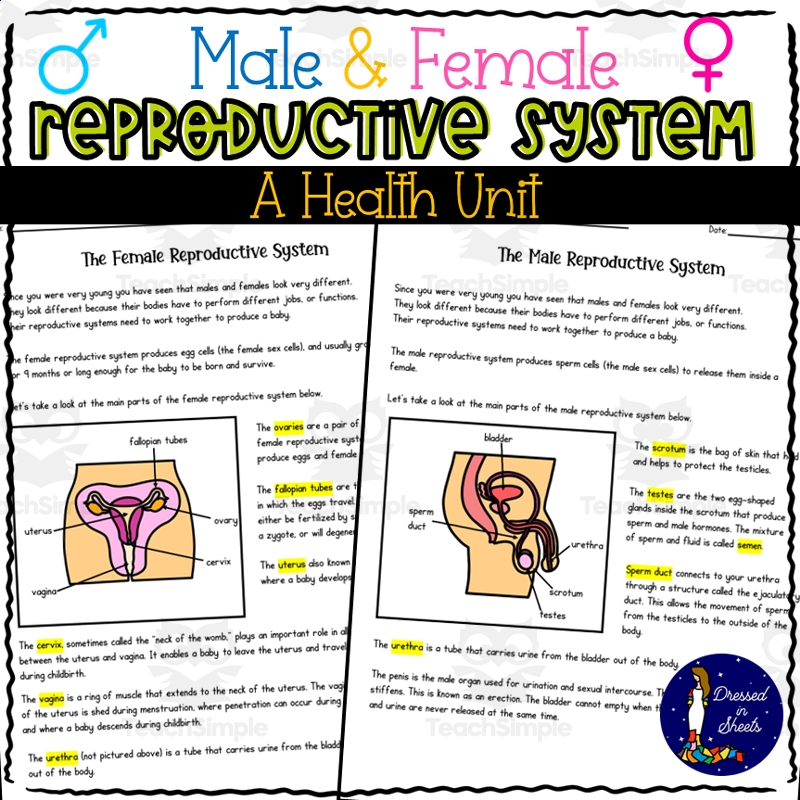 Human Reproduction Reading Comprehension Worksheets
