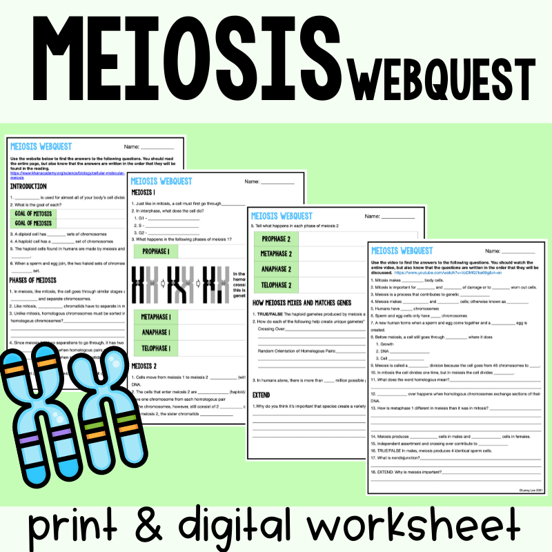 Meiosis Reading Comprehension Worksheet Pdf