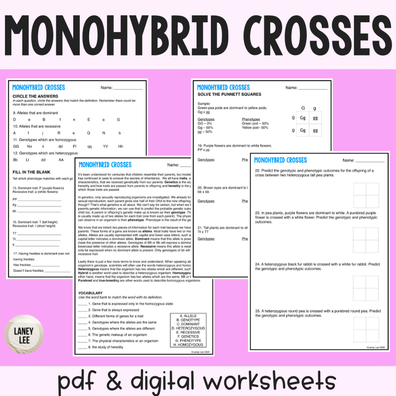 Punnett Square Reading Comprehension Worksheet Pdf