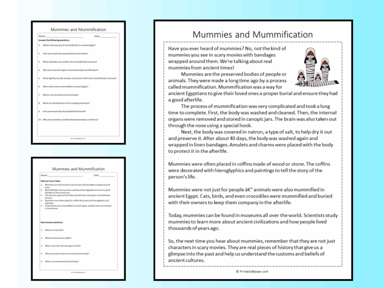 Mummies And Mummification Reading Comprehension Passage Printable Worksheet Teaching Resources