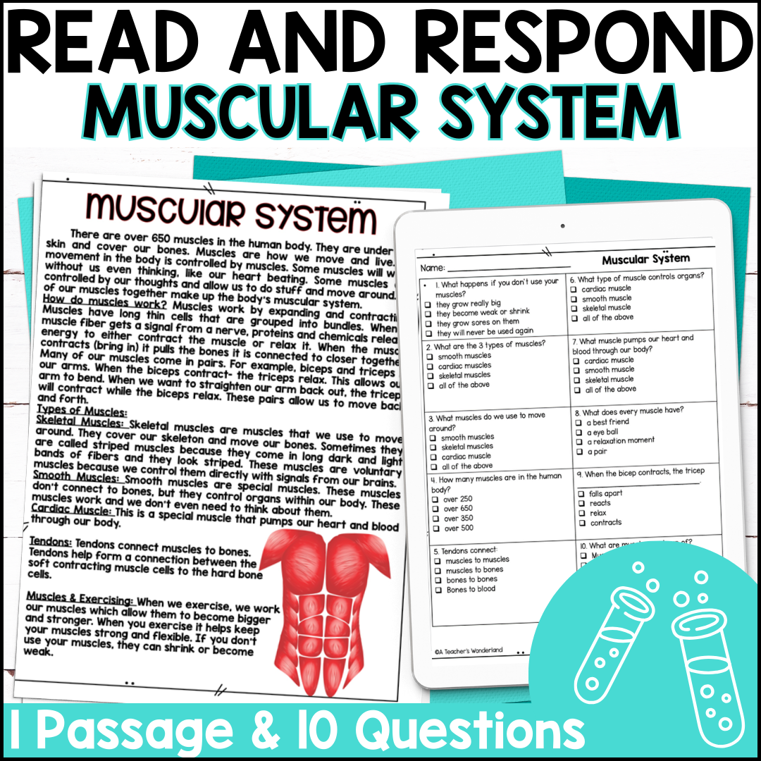 Muscular System Reading Comprehension U0026 Quiz Google Forms Science Centers A Teacher s Wonderland