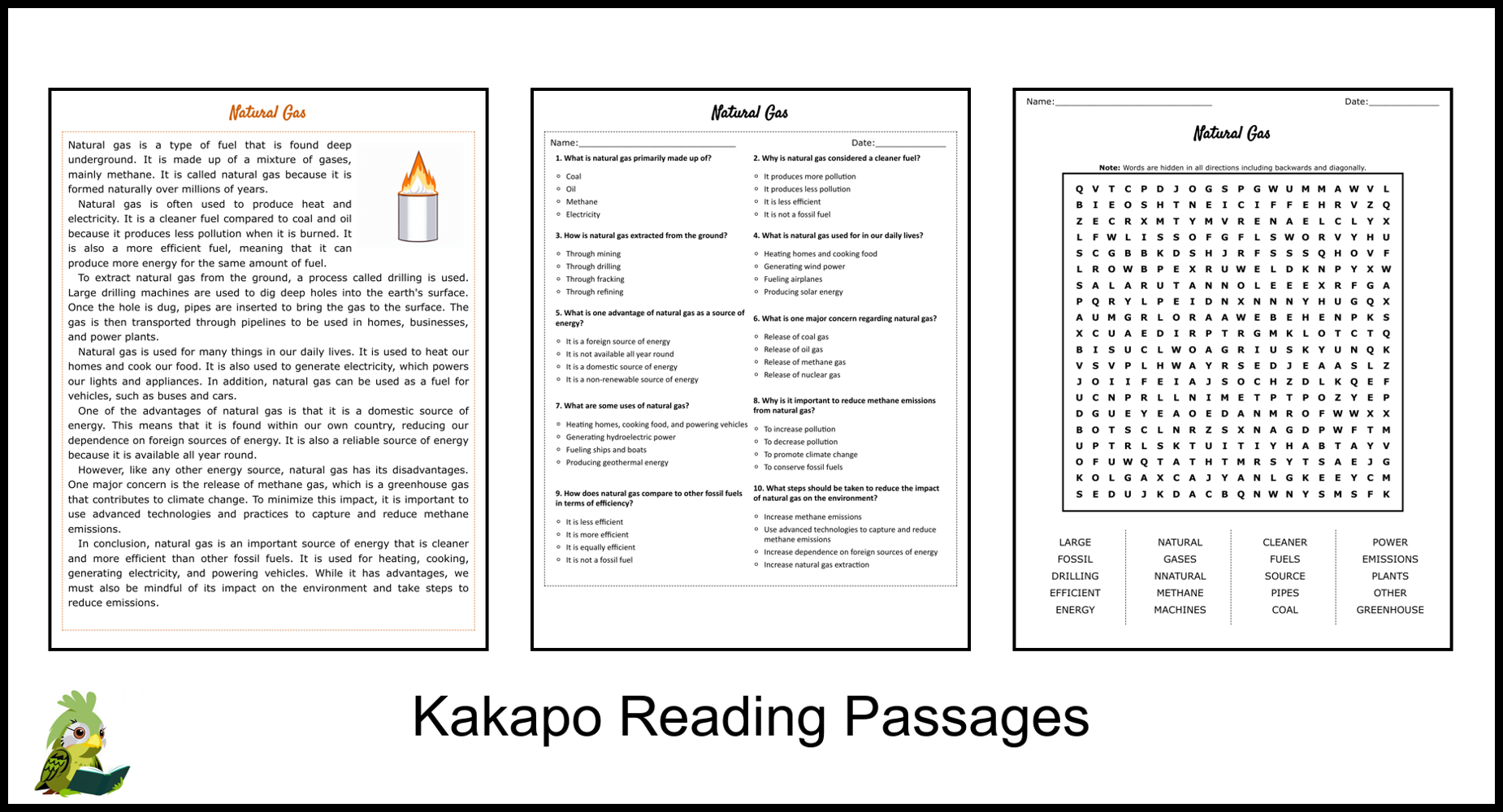 Natural Gas Reading Comprehension And Word Search Teaching Resources