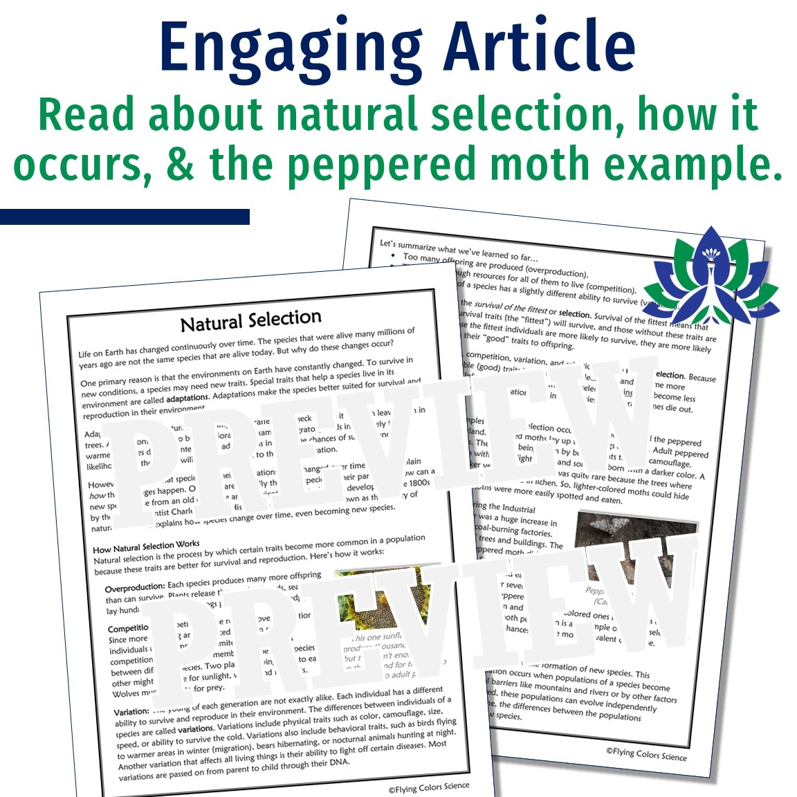 Natural Selection Reading Comprehension Worksheet