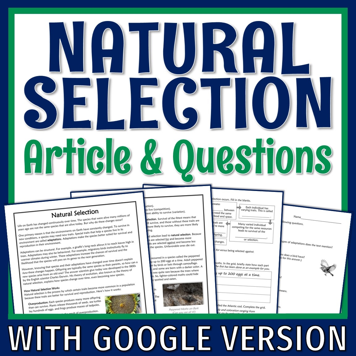 Natural Selection Reading Comprehension Worksheet Pdf