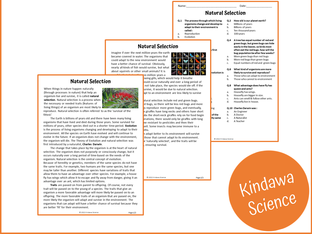Natural Selection Reading Comprehension Passage And Questions PDF Teaching Resources